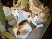 /album/fotogallerij/imgp0047-jpg/