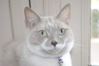 /album/fotogallerij/dsc-0002-jpg/