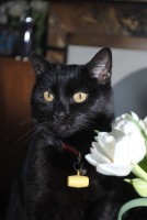 /album/fotogallerij/dsc-0028-jpg/