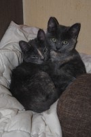 /album/fotogallerij/dsc-0012-jpg/